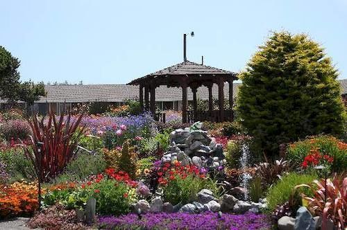 Surf Motel And Gardens Fort Bragg Exterior photo